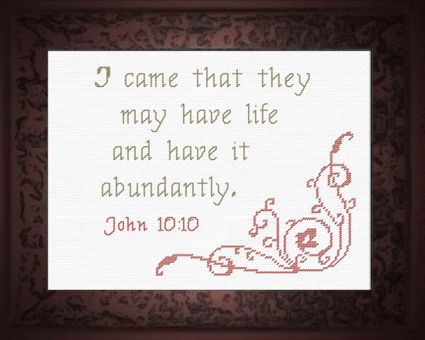Life Abundantly - John 10:10
